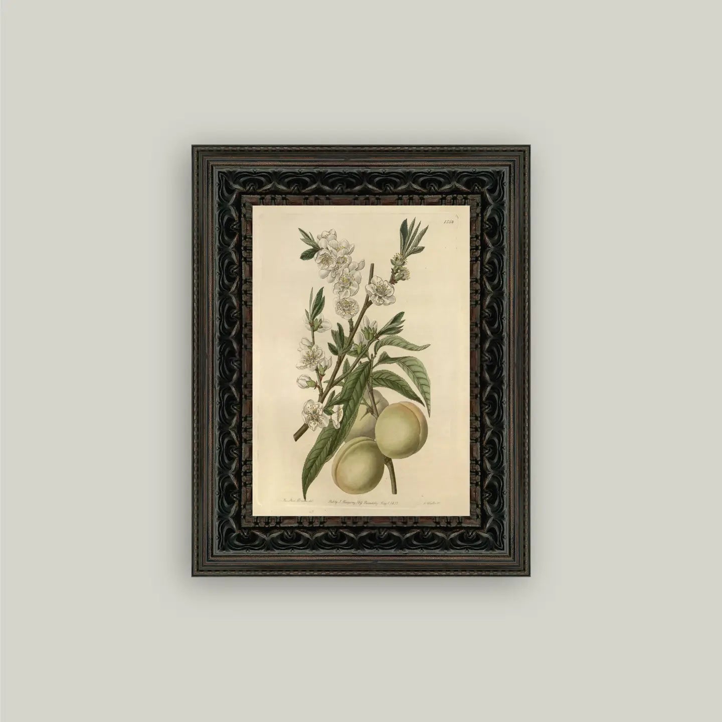 Fruit Framed Antique Art