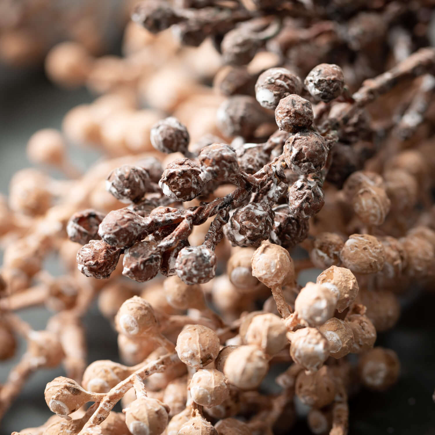 Faux Dried Blush Berry Spray