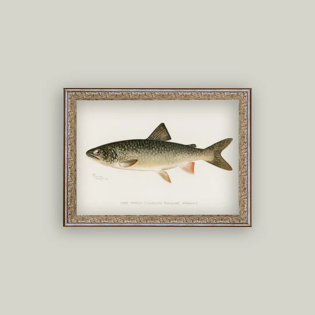Wildlife Print Framed Art