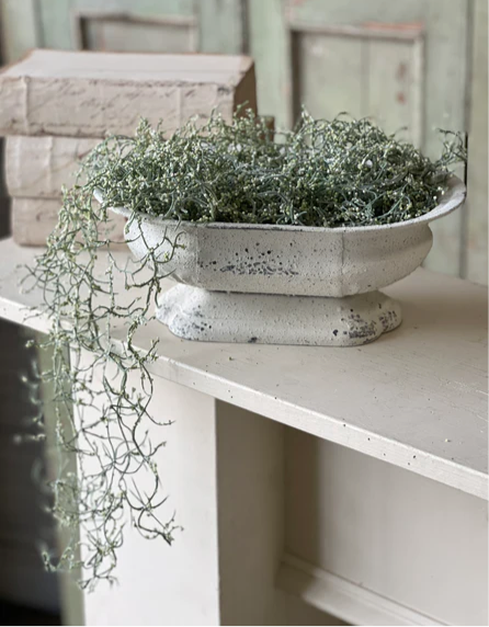 Confetti Moss 17" Sage