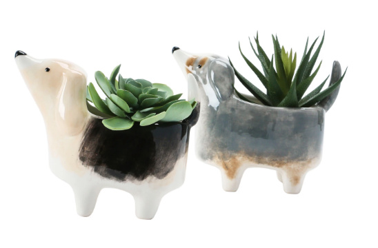 Dog Planter