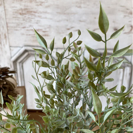 Mixed Sage Bush