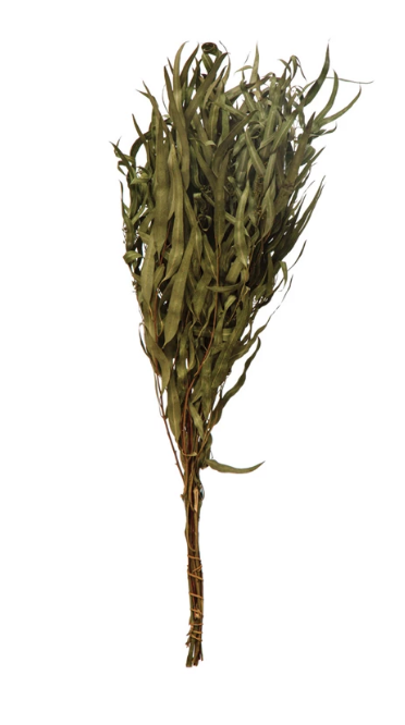 Dried Greens - natural eucalyptus