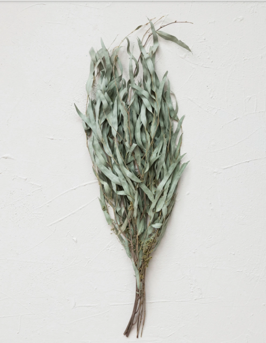 Dried Greens - natural eucalyptus