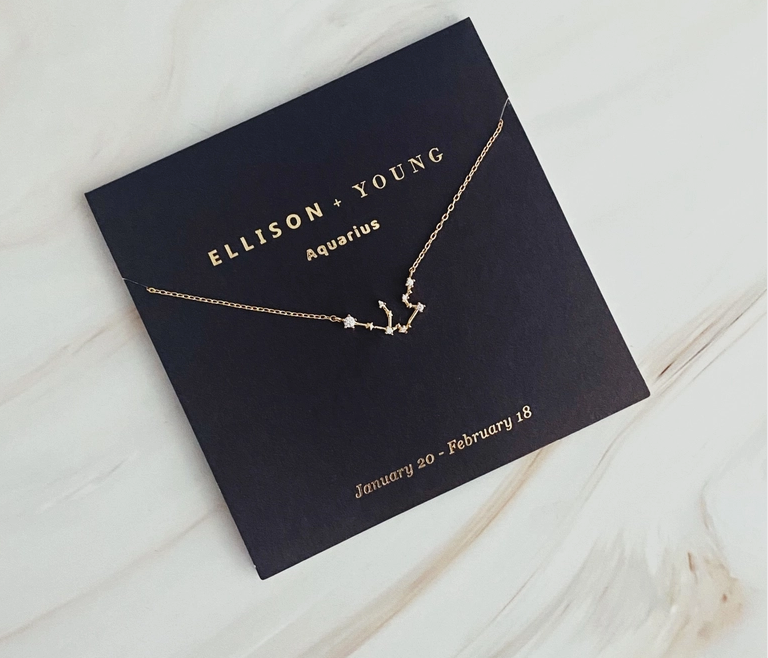 Zodiac Collection Necklace