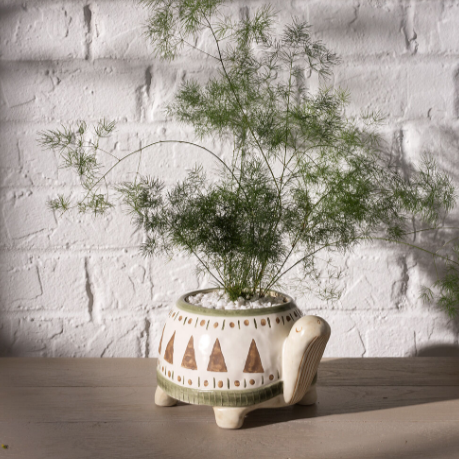 Ceramic Turtle Kai Pot