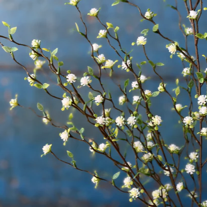 Love Buds Bush