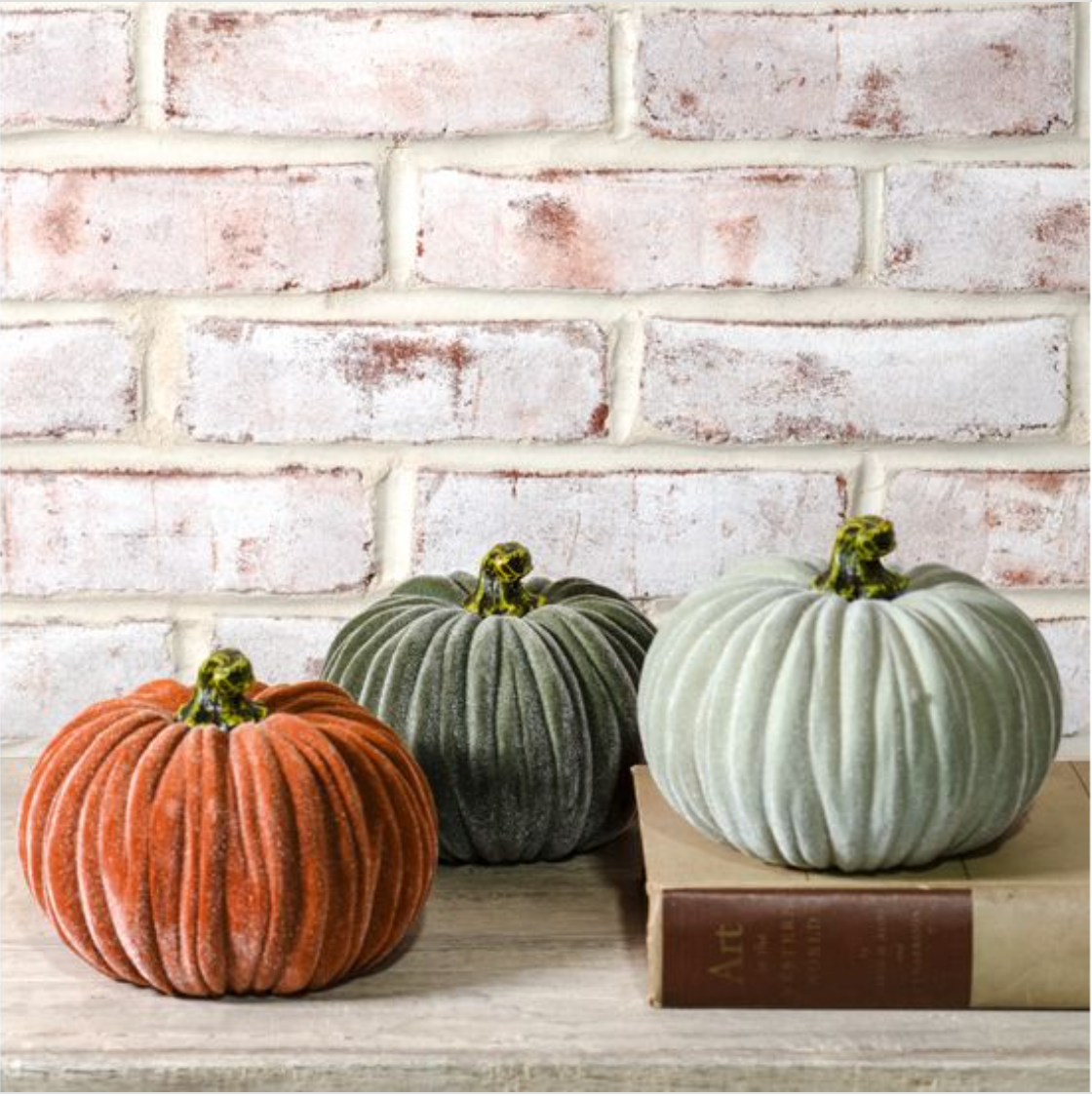 Velvet Pumpkin