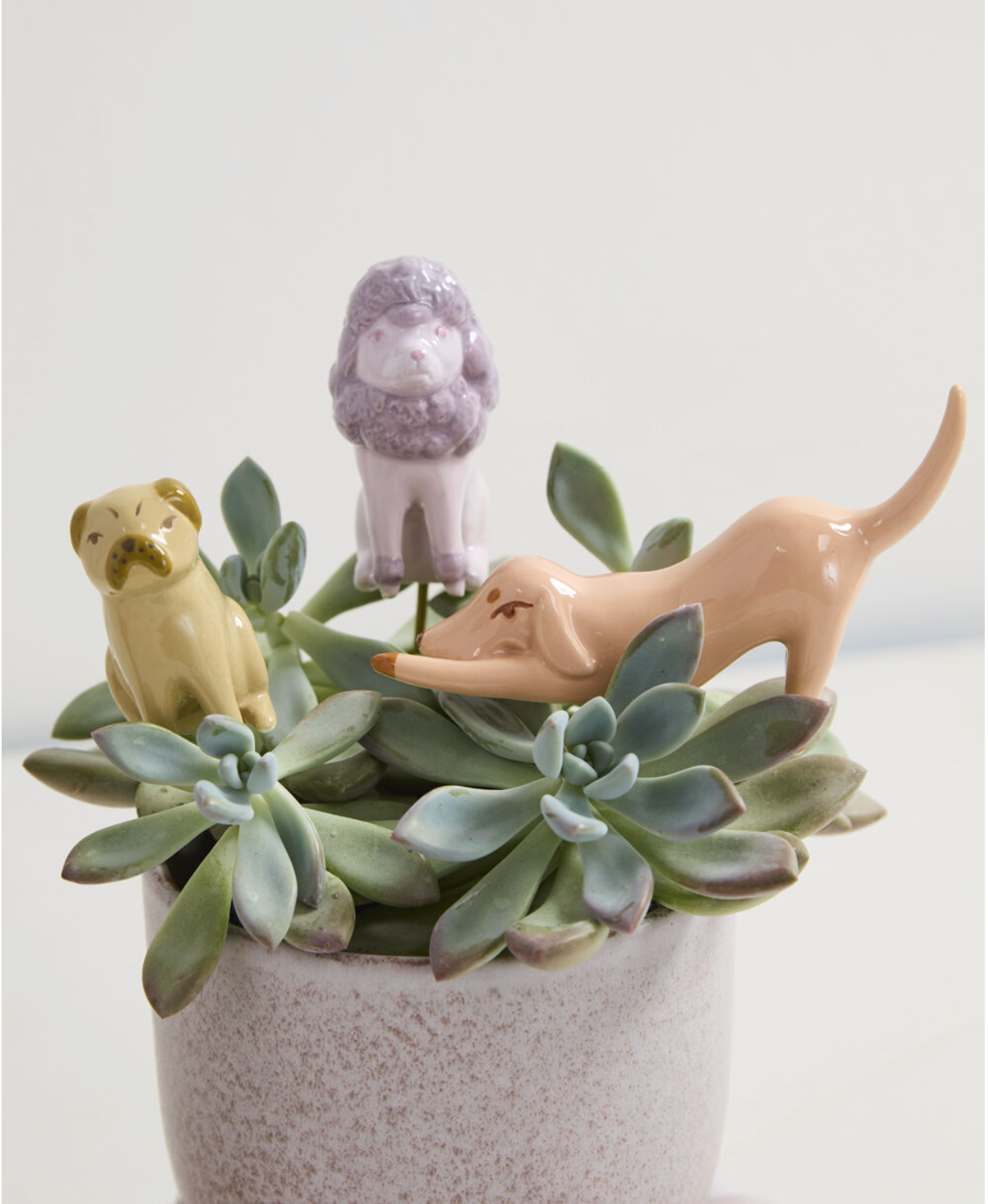 Playful Pups Plant Stick