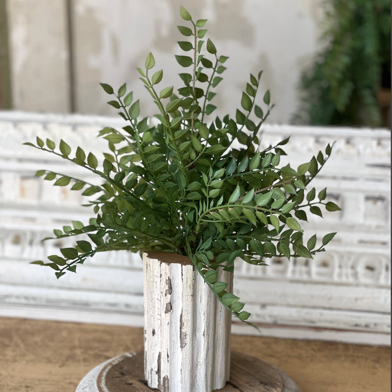 Wood Thrush Leaves Bush