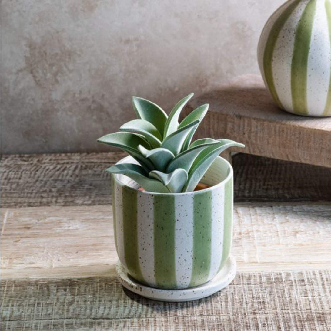 Stripe Planter with Saucer
