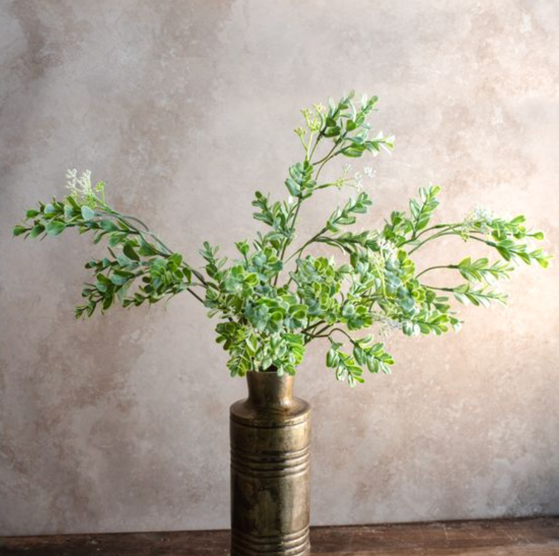 Eucalyptus Bush - 5 Stem