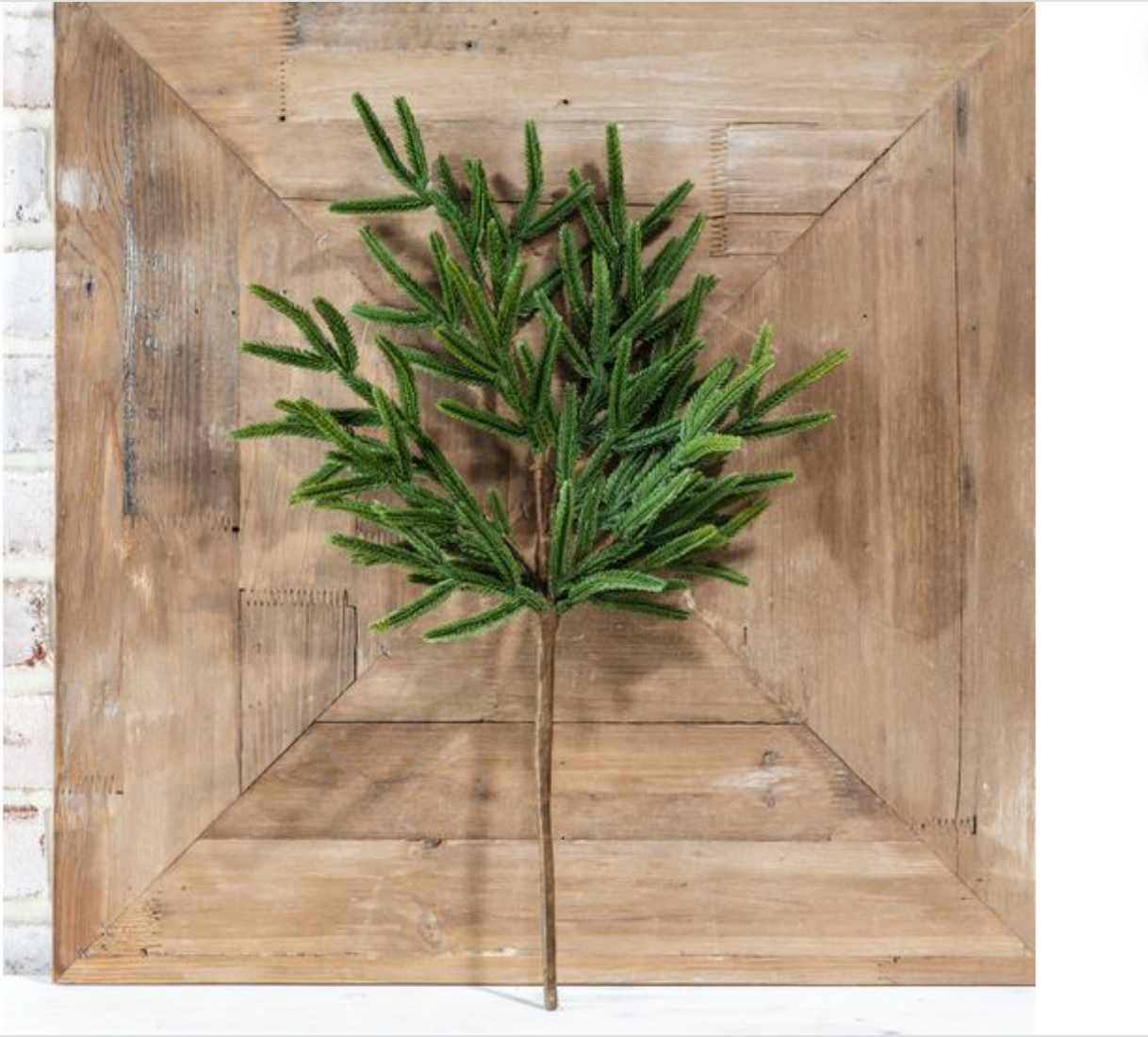 Pine Branch