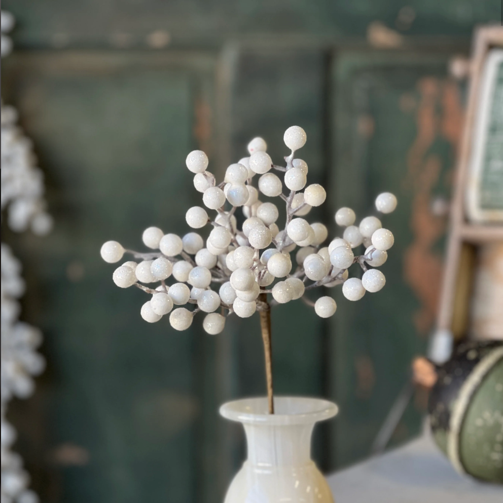 Icy Snowdrop Berry Pick