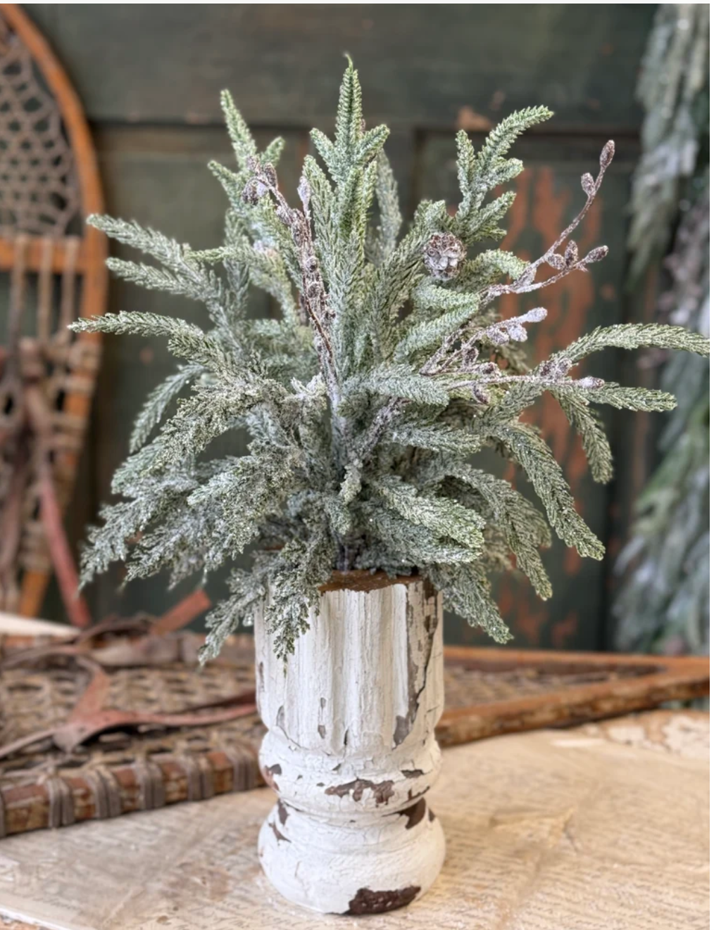 Snowdrift Norfolk Pine Bundle