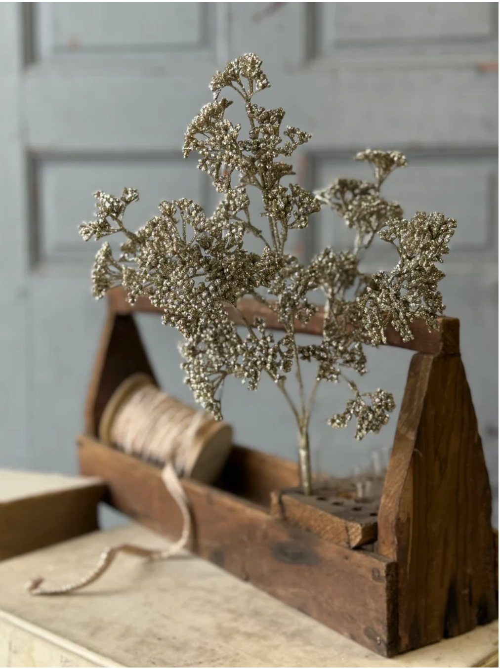 Glisten & Glow Bush