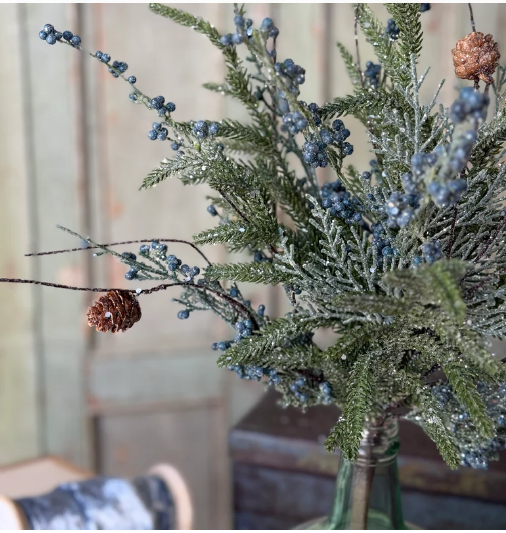 Bluehaven Cedar Bush