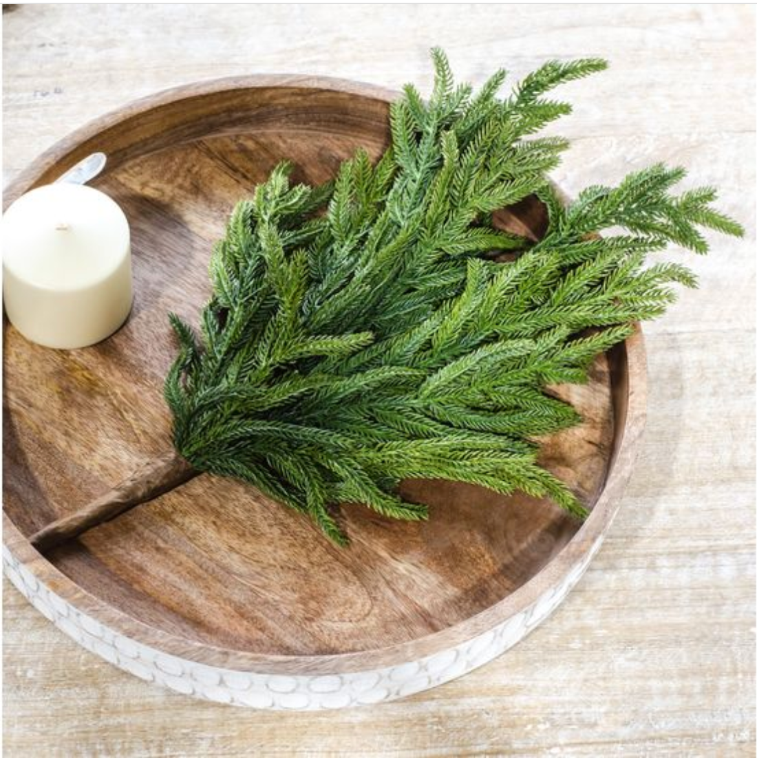 Evergreen Stem - 2 Sizes