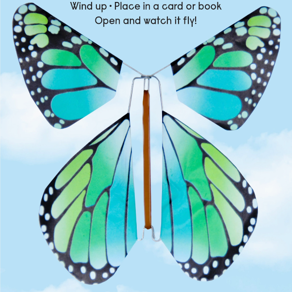 Magic Butterfly