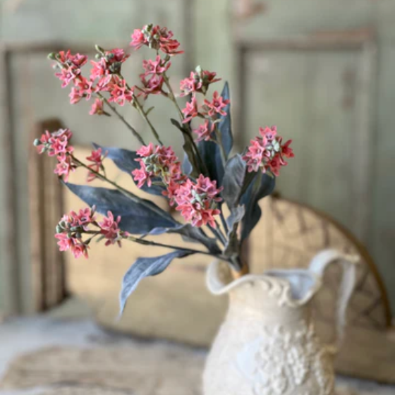 Starlet Flower Bundle