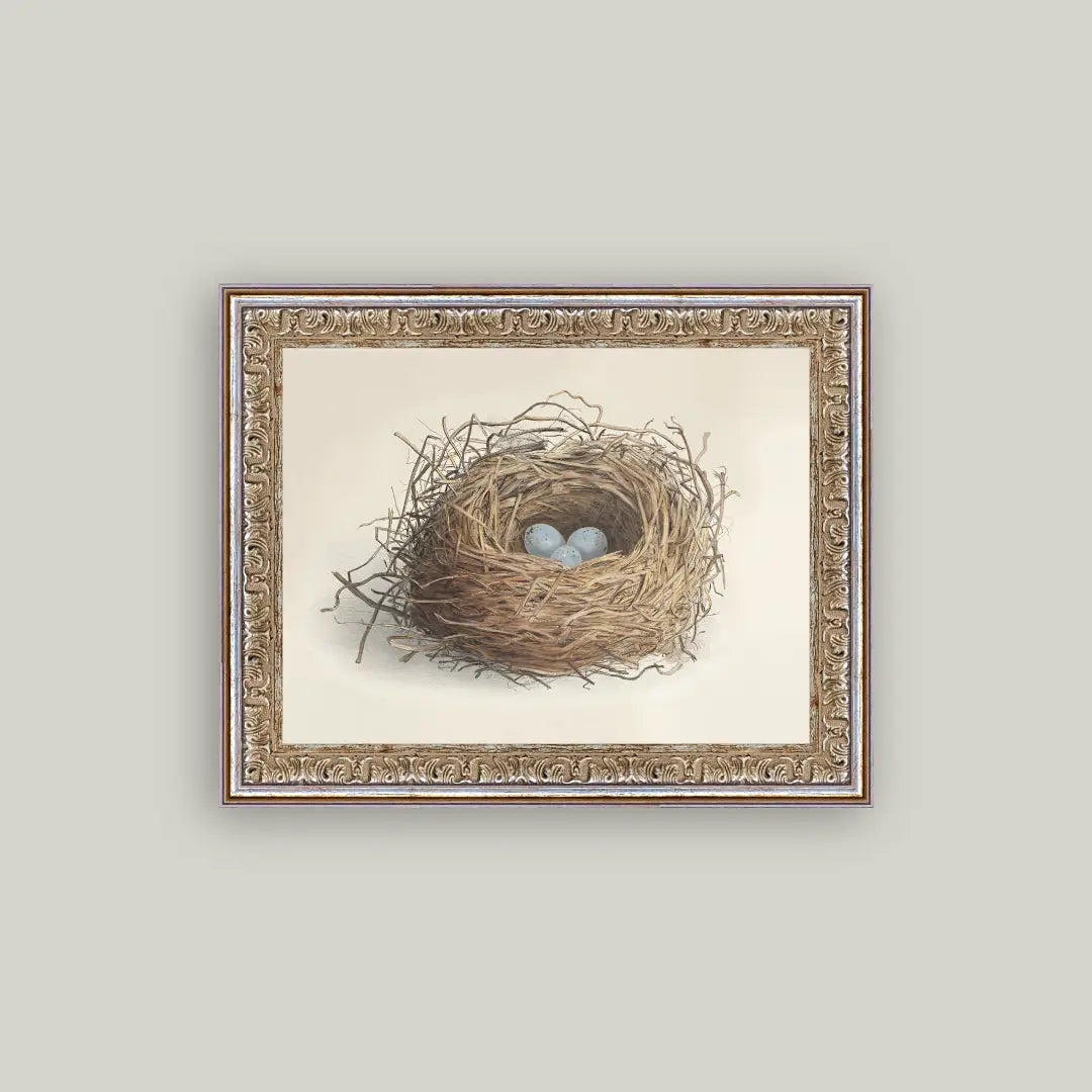 Blue Eggs in A Nest Framed Antique Art