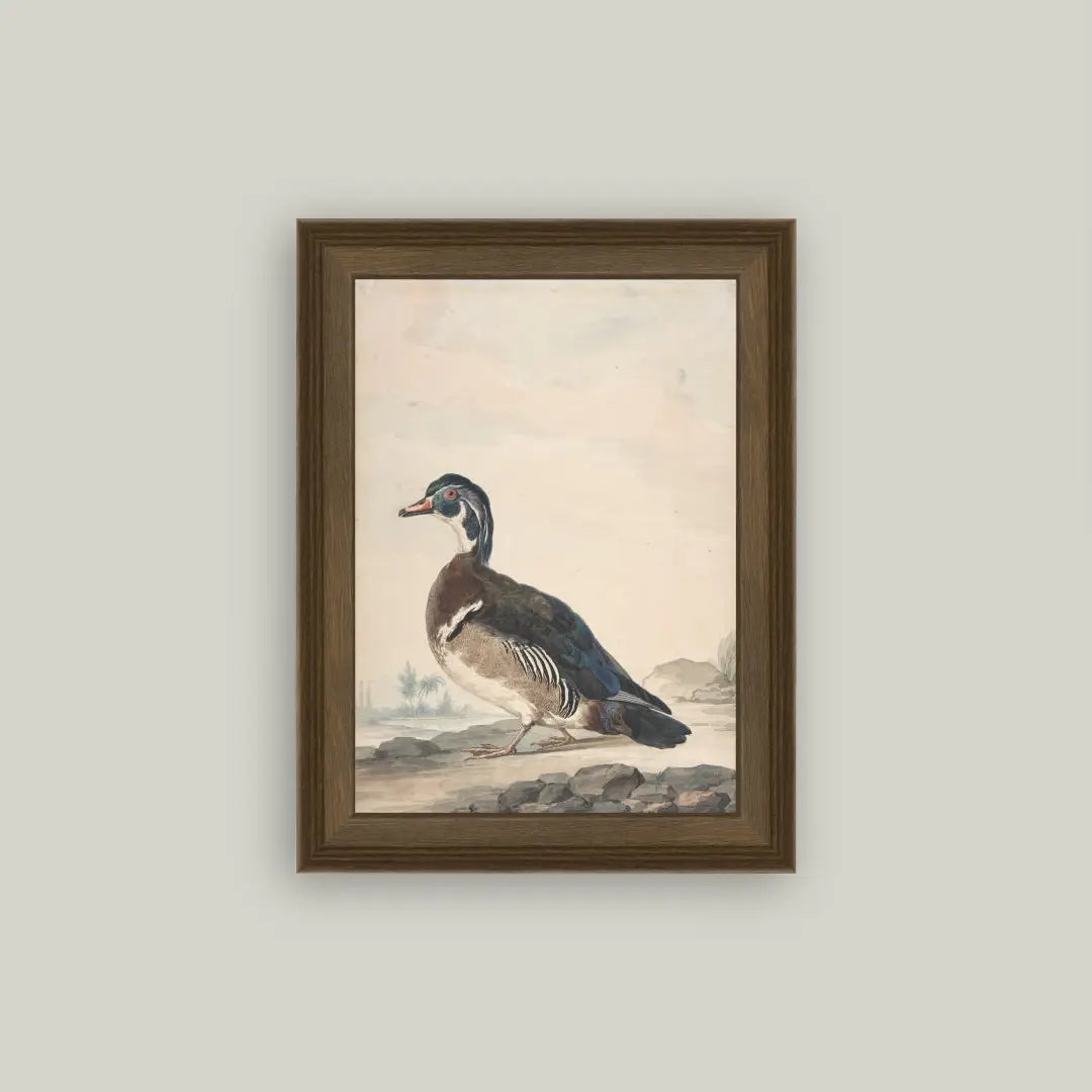 Duck Print Framed Antique Art