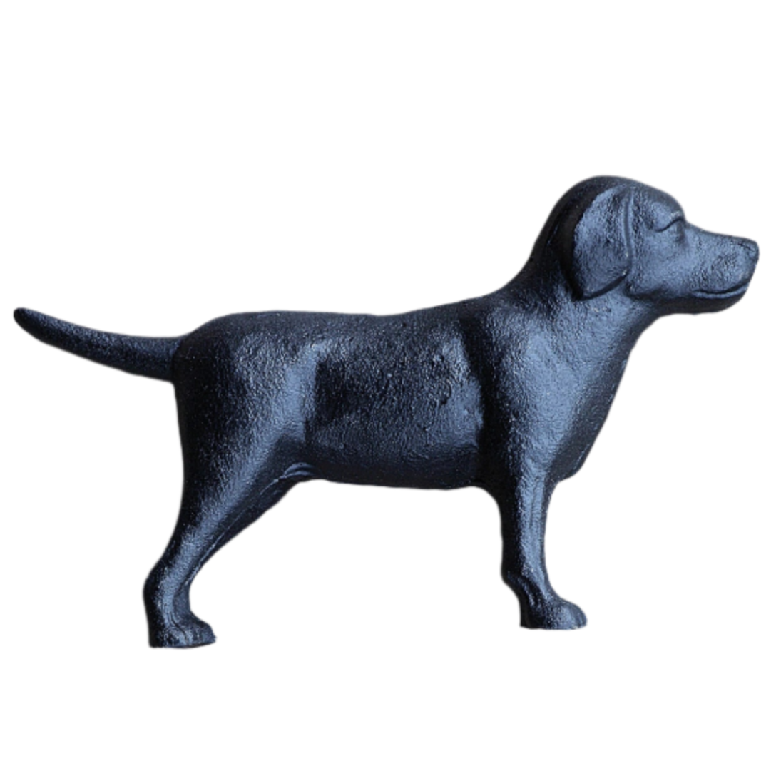 Cast Iron Lab