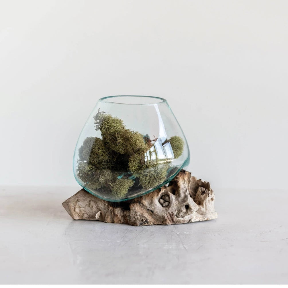 Glass Planter/Vase on Natural Wood Base