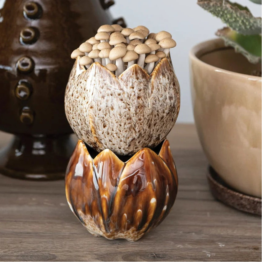 Stoneware Flower Shaped Planter