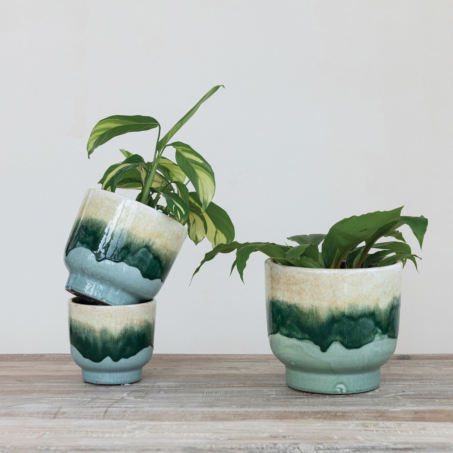 Multicolor Terra-cotta Planter