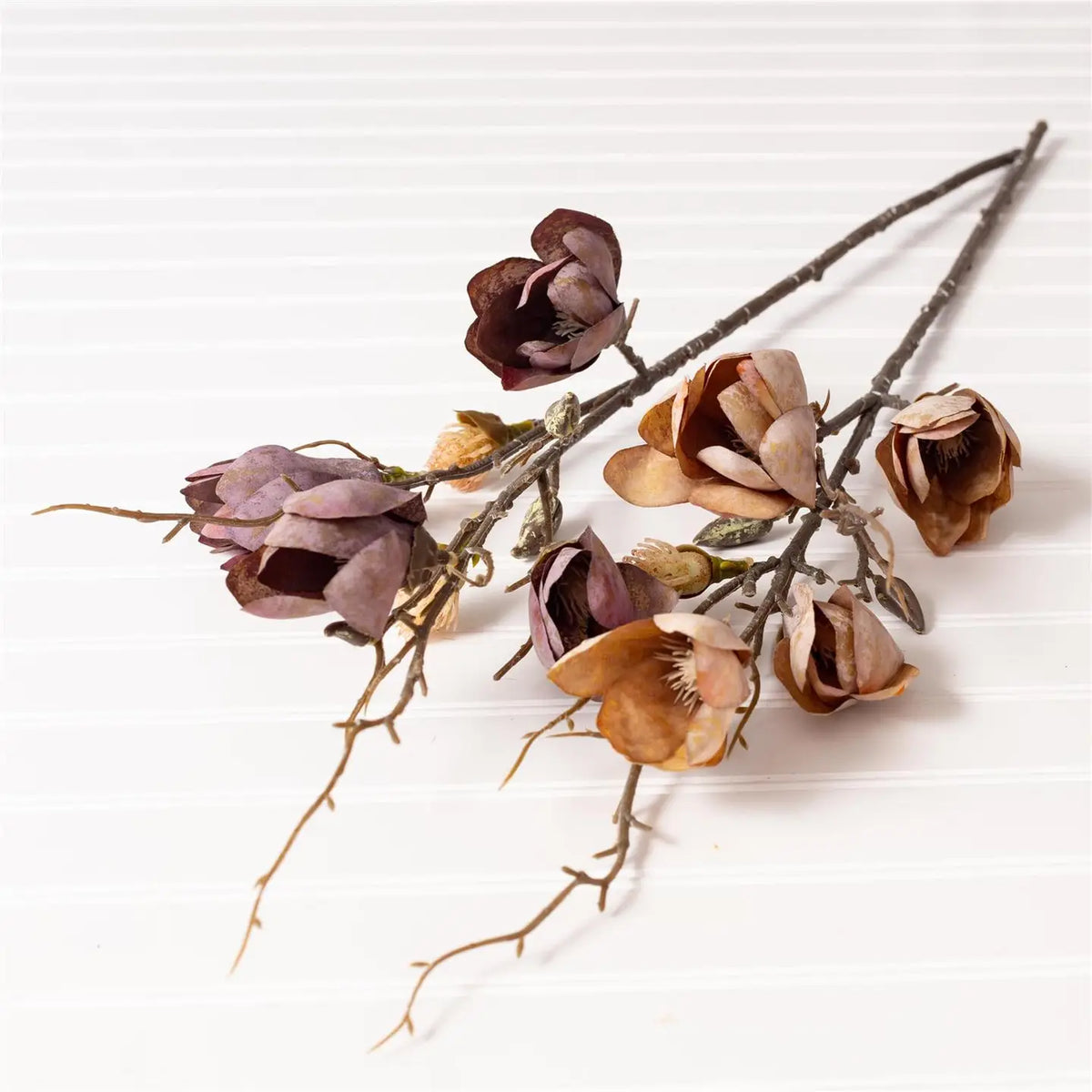 Magnolia Branch