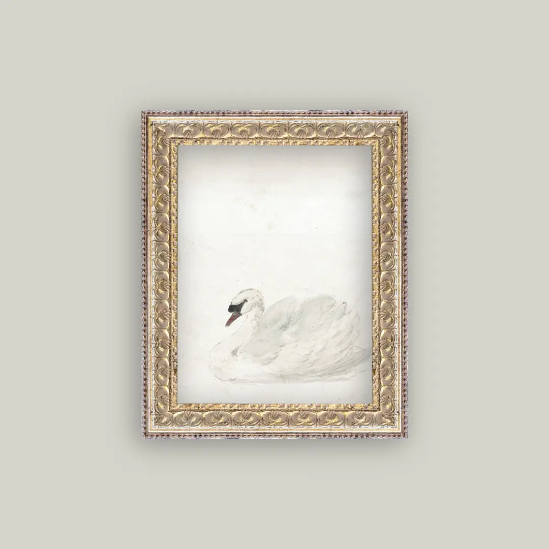 Swan Framed Antique Art 8 x 10