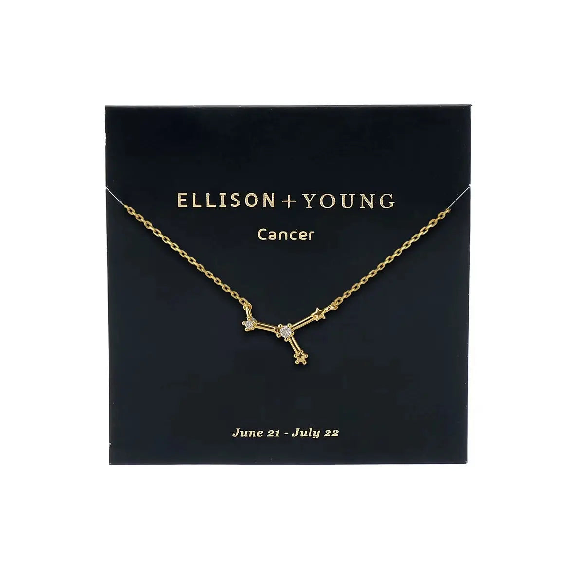 Zodiac Collection Necklace