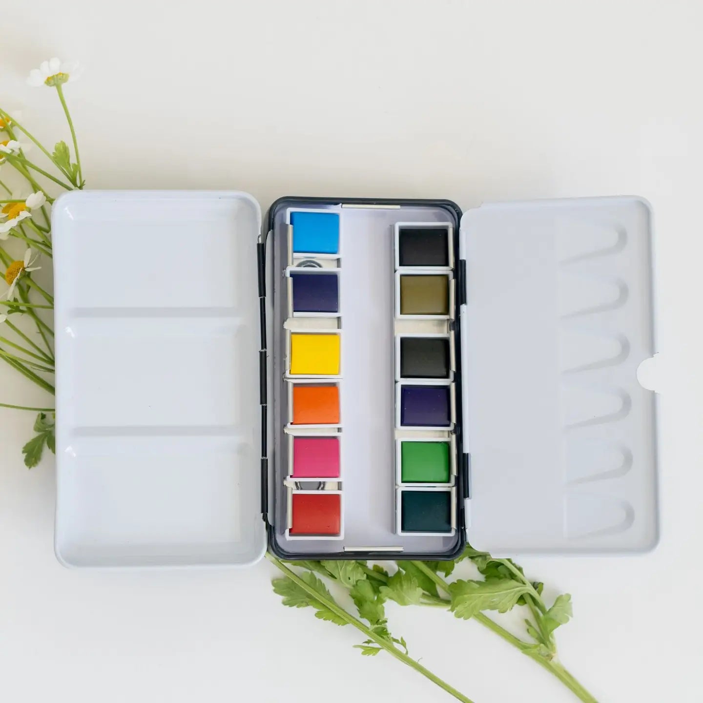 Watercolor Paint Palette