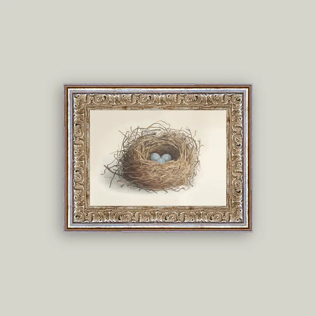 Blue Eggs in A Nest Framed Antique Art