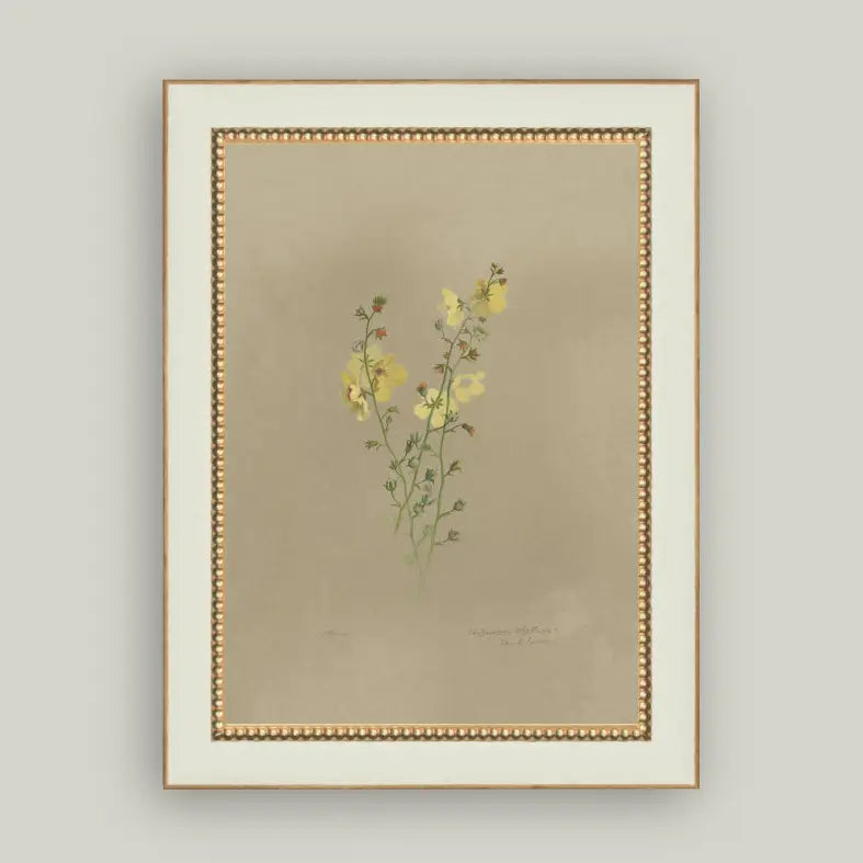 Floral Print Framed Antique Art
