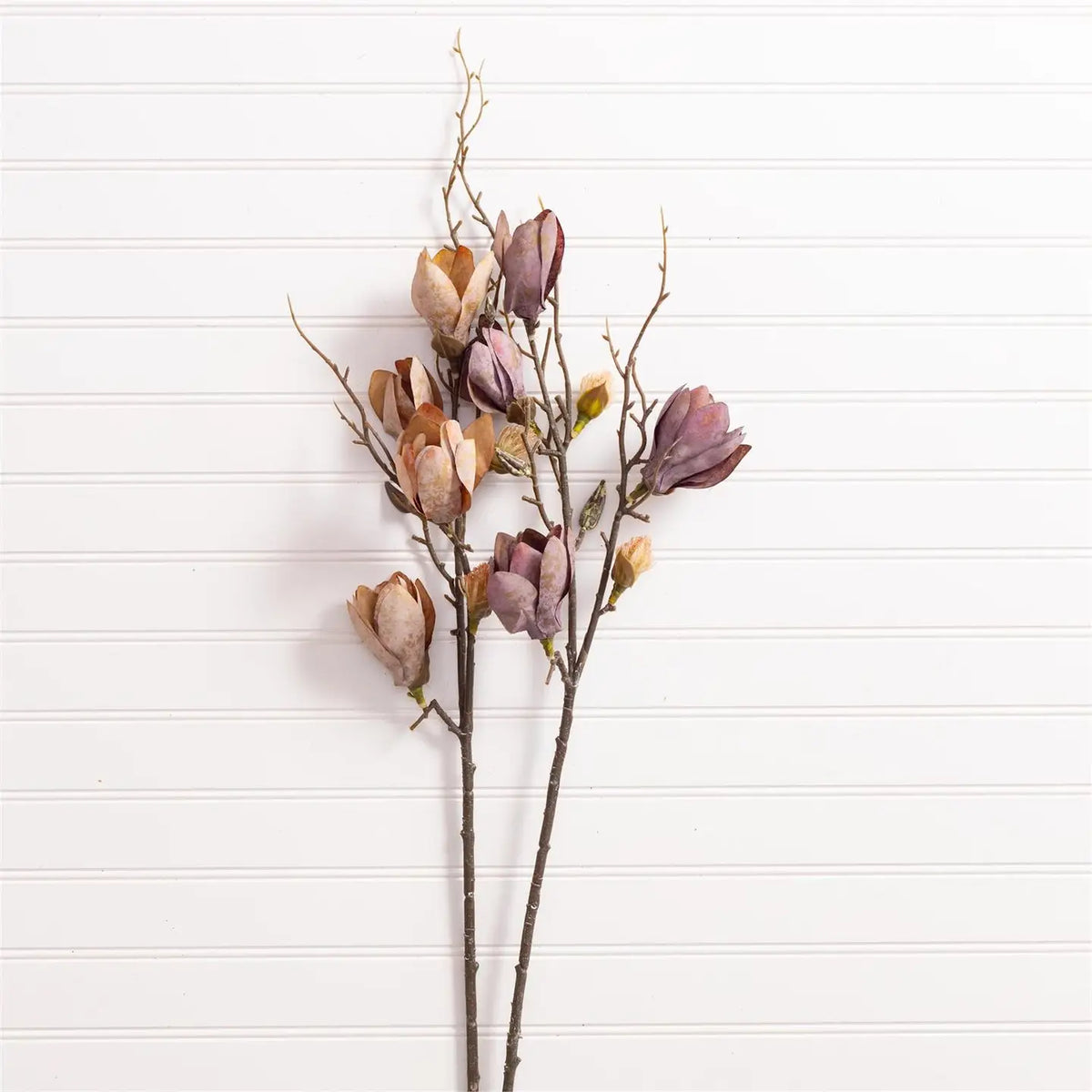 Magnolia Branch