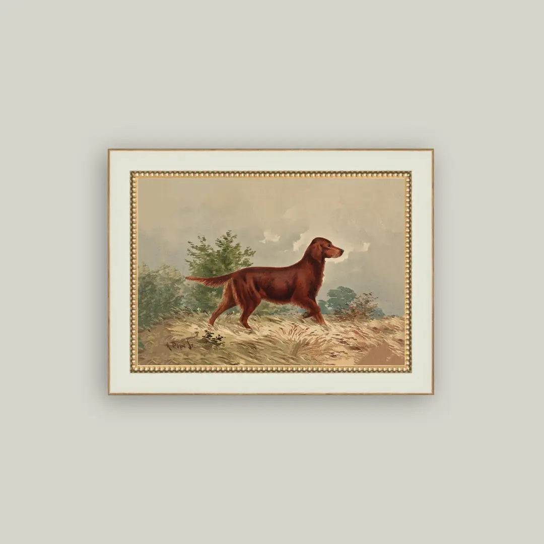 Dog Print Framed Antique Art