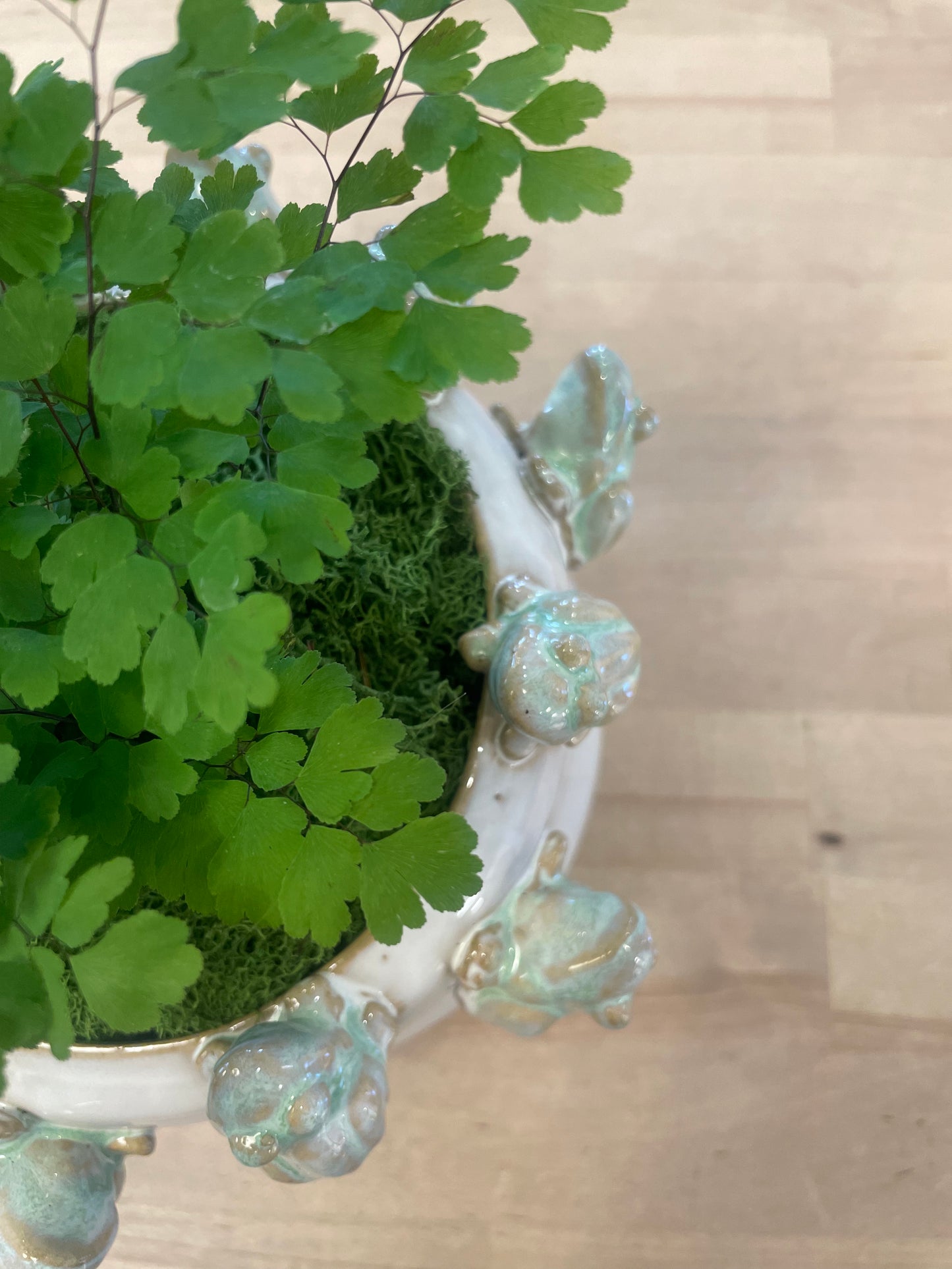 Stoneware Planter w/ Frogs on Rim, Reactive Glaze, White & Green