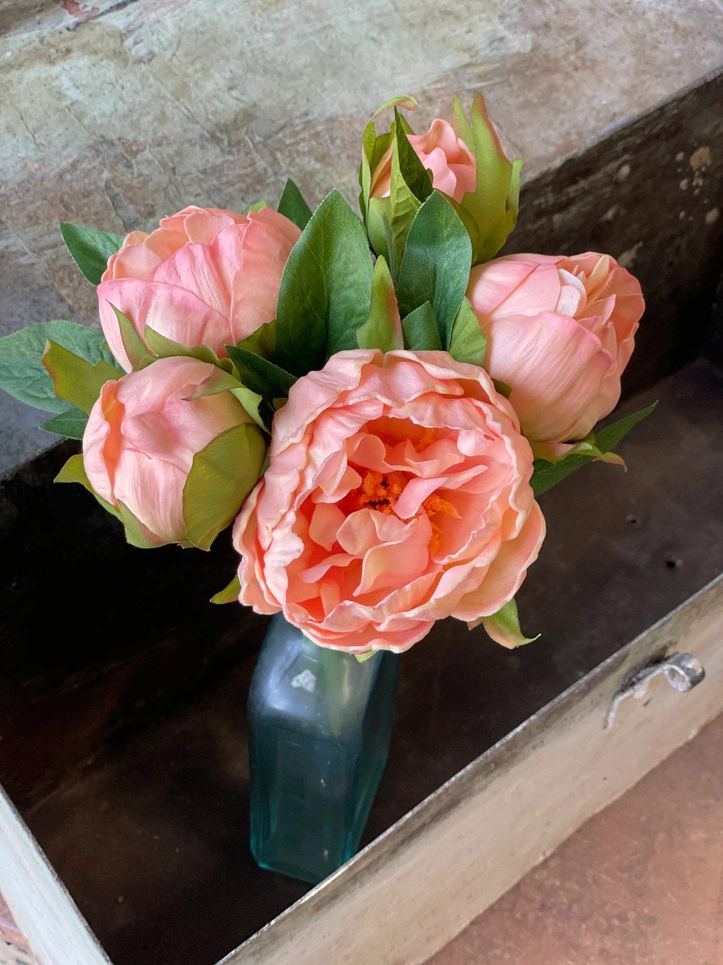 Peony Bundle 11"