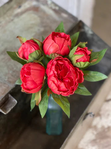 Peony Bundle 11"