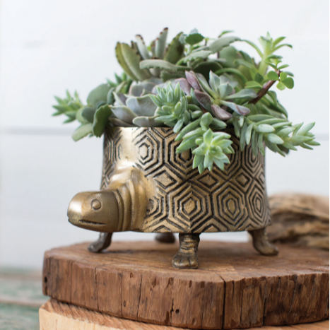 Tommie Turtle Pot