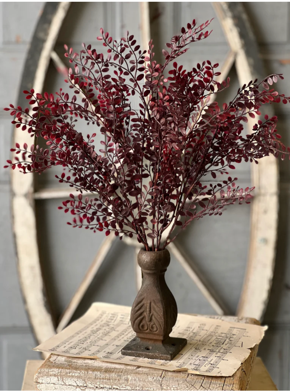 Red Ruta Rue Bush