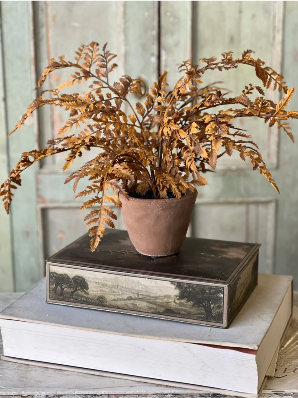 Autumnal Potted Fern