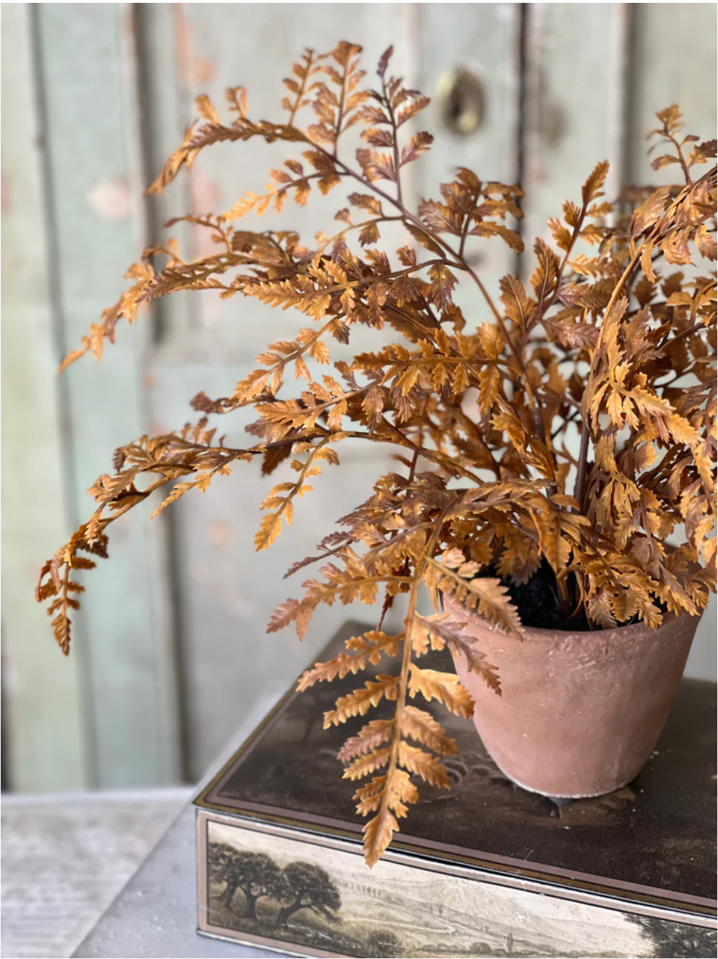 Autumnal Potted Fern
