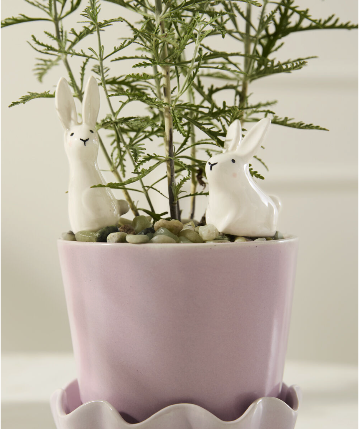 Thumper Plant Stick