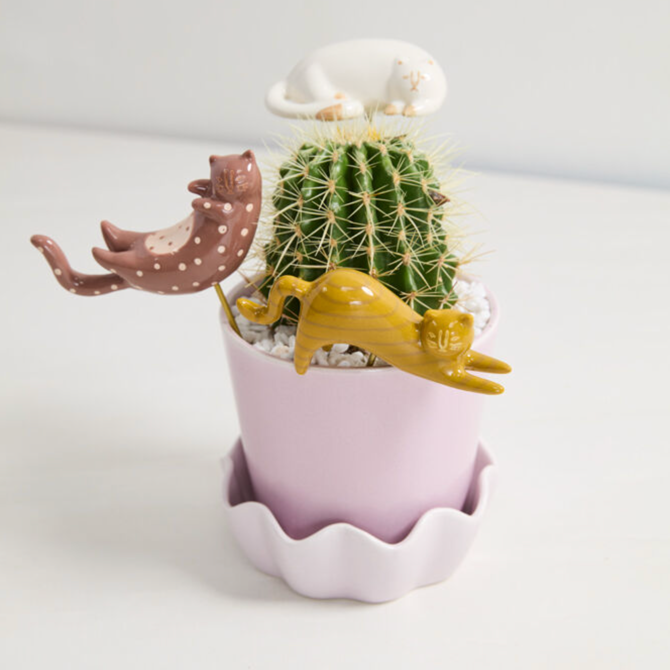 Curious Cat Plant Stick