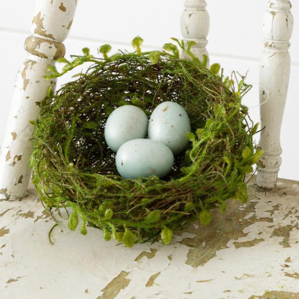 Decorative Robin's Egg Nest