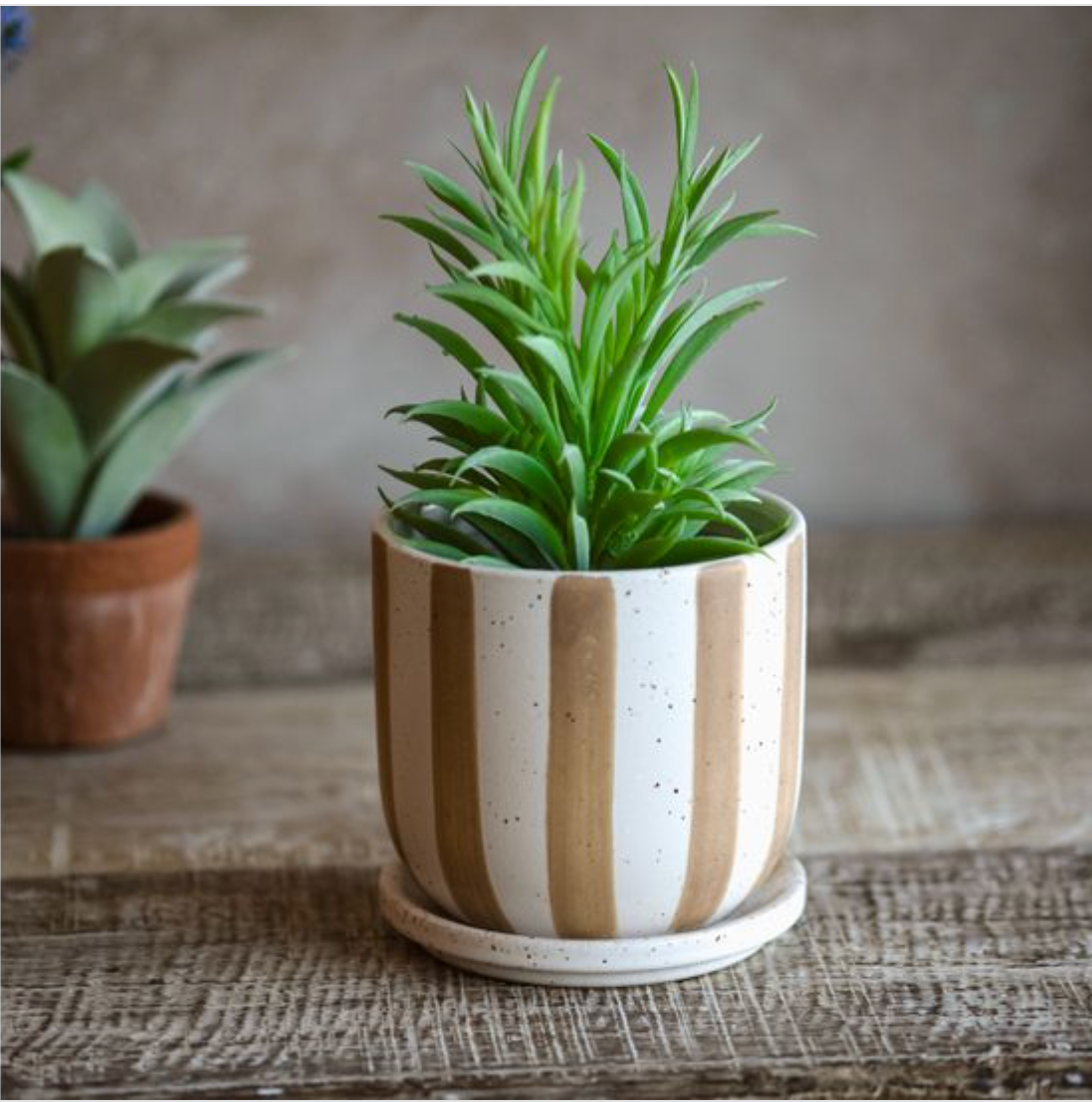 Stripe Planter with Saucer