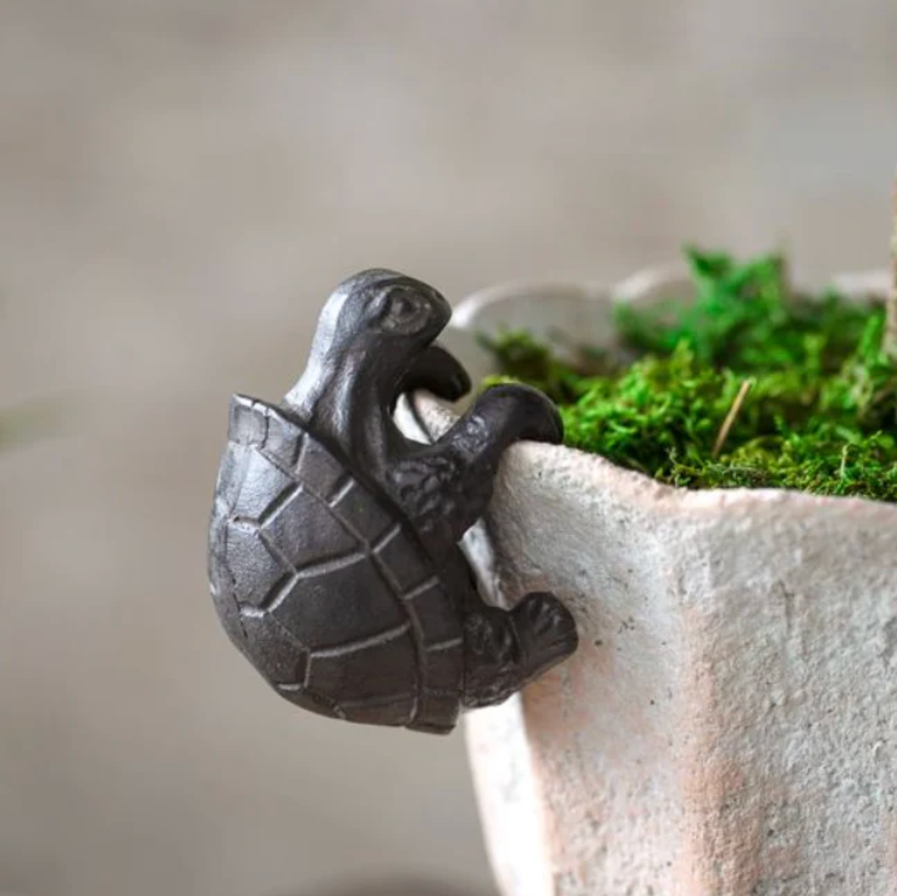 Iron Turtle Pot Hanger